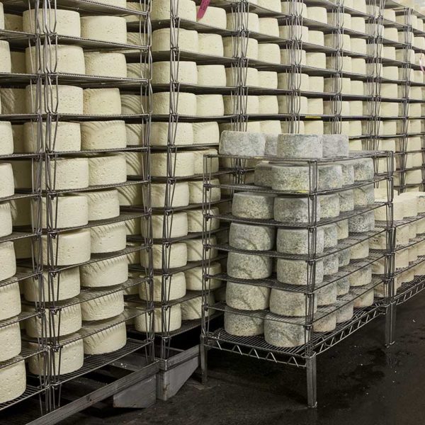 Waarvoor staat het AOP-keurmerk van een kaas?