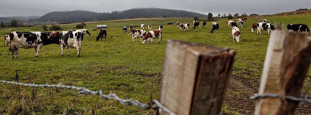 Le condizioni di produzione