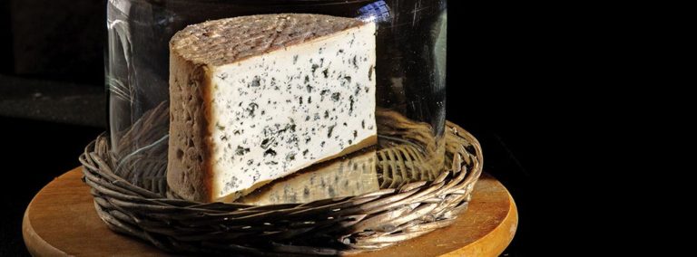 Der Käse - AOP Bleu d&amp;#39;Auvergne Käse