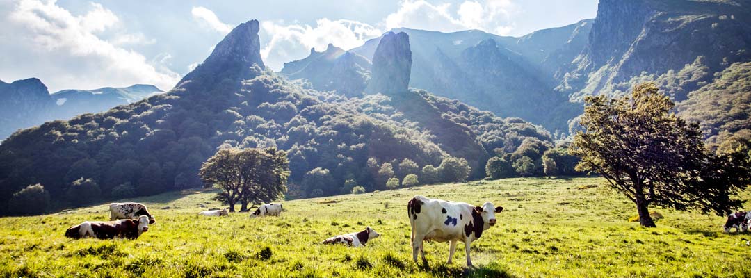 Auvergne Sancy